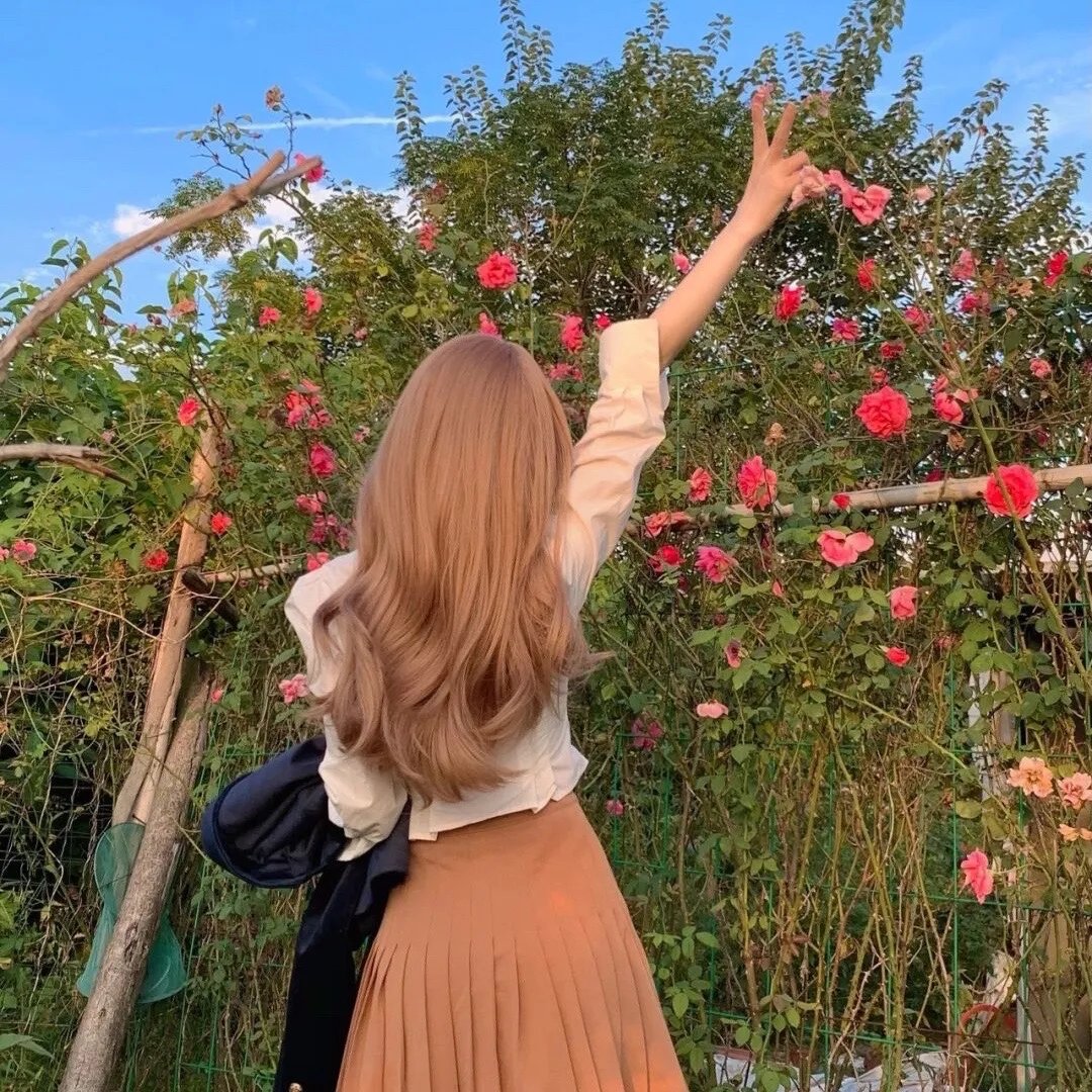 The Cockpit 铁之龙骑兵